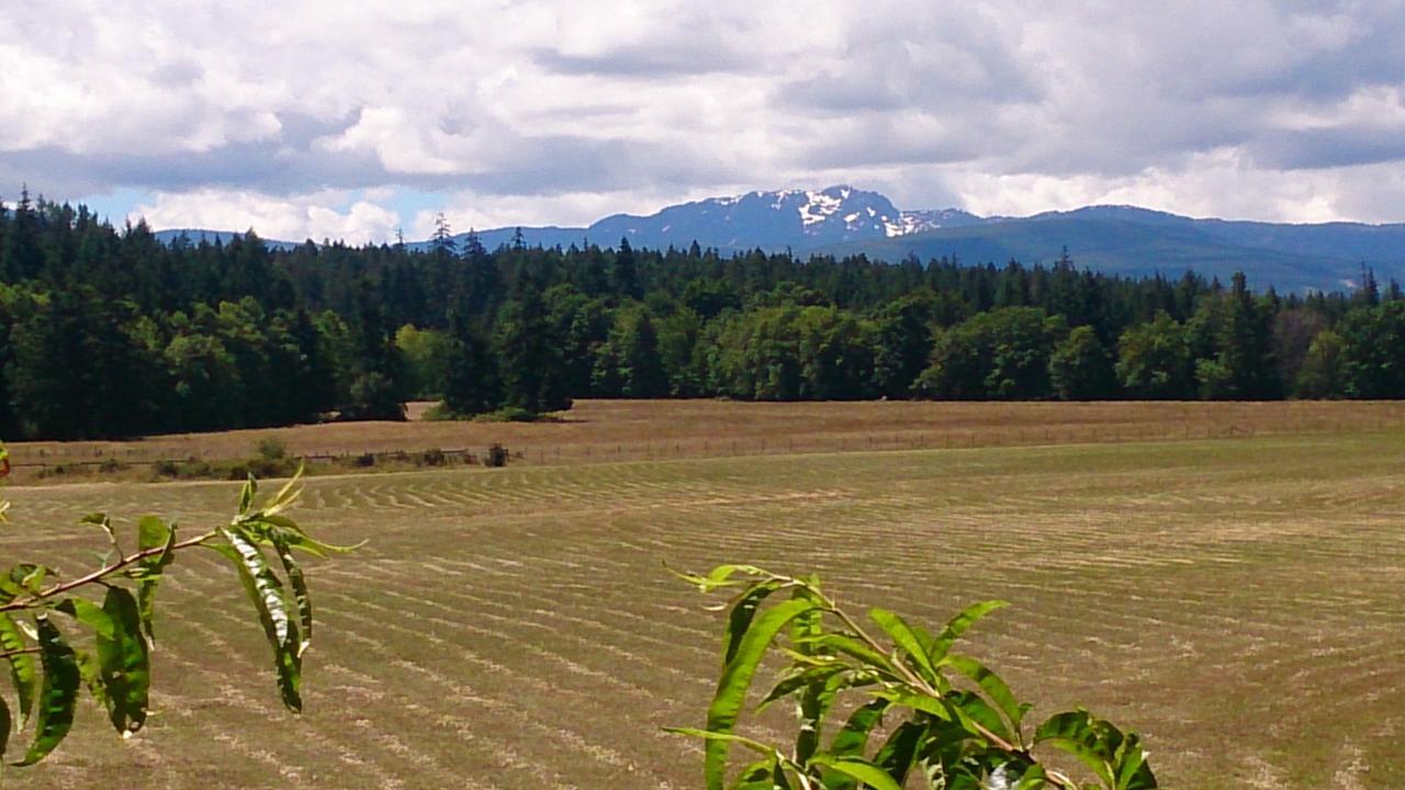 Paradise Acres Ranch Nanoose Bay Exterior photo