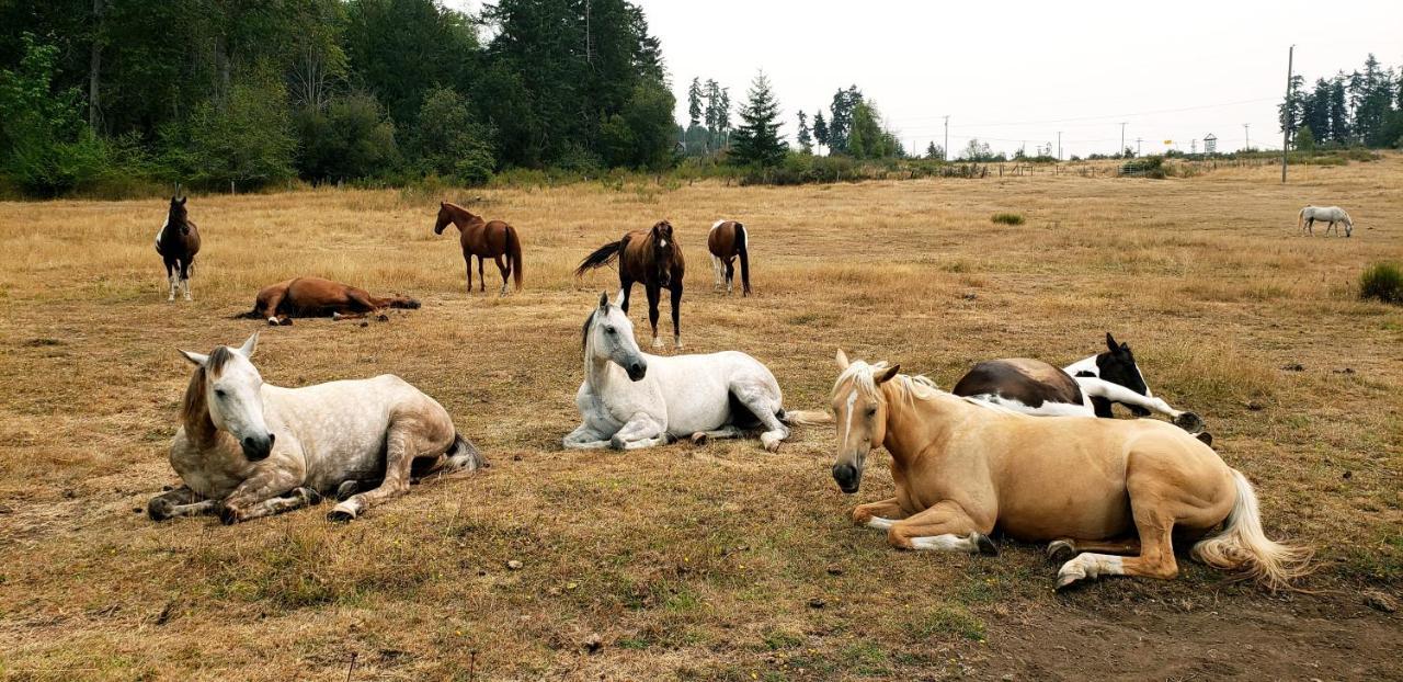 Paradise Acres Ranch Nanoose Bay Exterior photo
