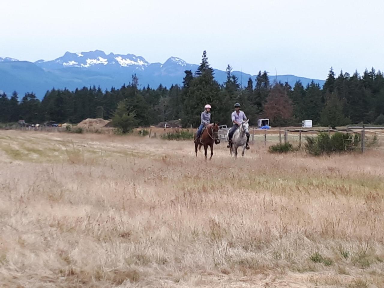 Paradise Acres Ranch Nanoose Bay Exterior photo